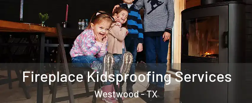 Fireplace Kidsproofing Services Westwood - TX