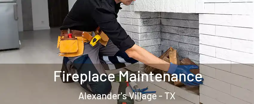 Fireplace Maintenance Alexander's Village - TX
