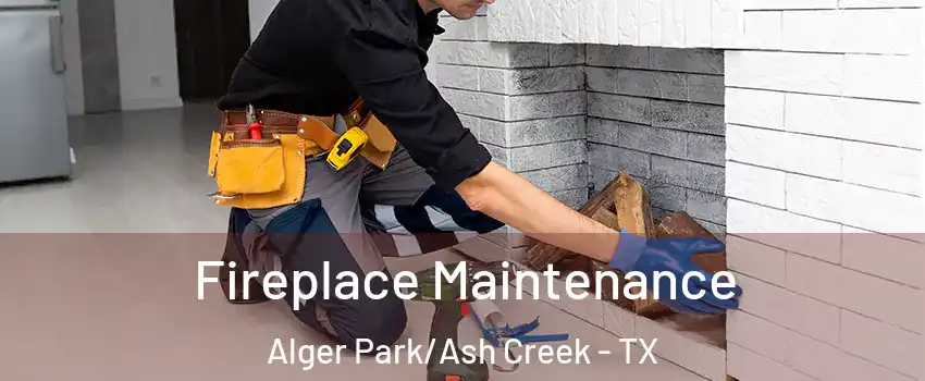 Fireplace Maintenance Alger Park/Ash Creek - TX