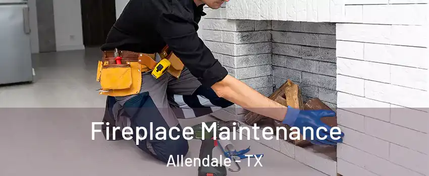 Fireplace Maintenance Allendale - TX