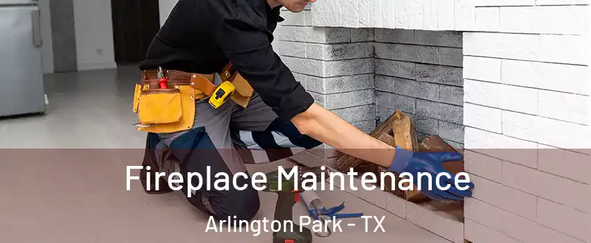 Fireplace Maintenance Arlington Park - TX