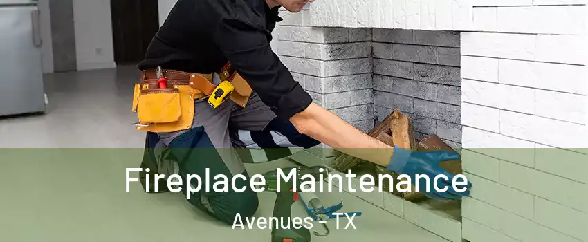 Fireplace Maintenance Avenues - TX