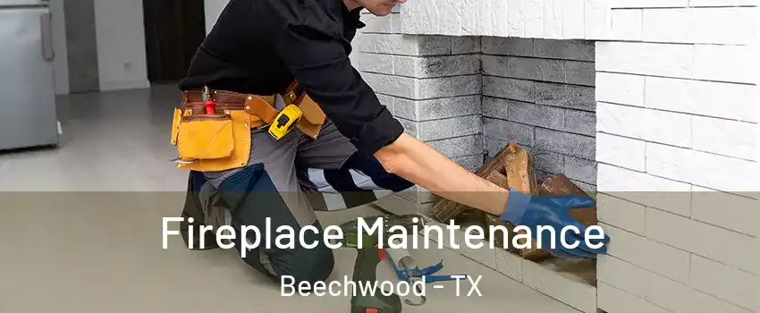 Fireplace Maintenance Beechwood - TX
