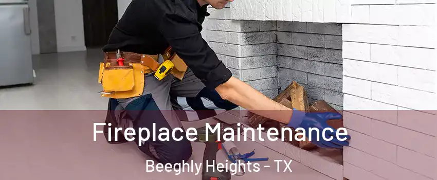 Fireplace Maintenance Beeghly Heights - TX