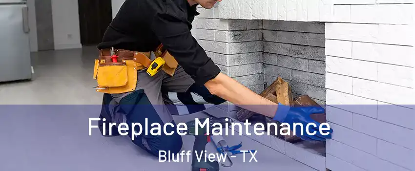 Fireplace Maintenance Bluff View - TX