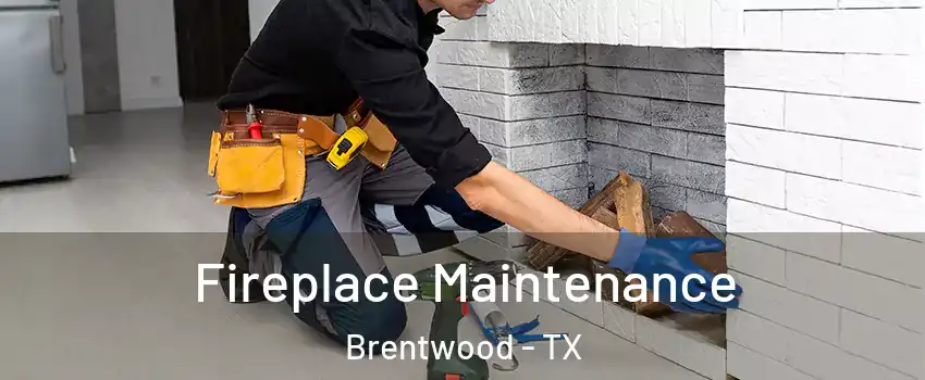 Fireplace Maintenance Brentwood - TX