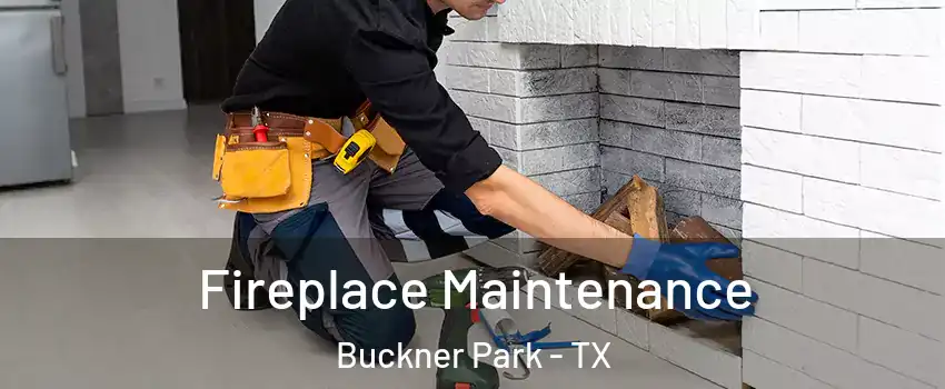 Fireplace Maintenance Buckner Park - TX