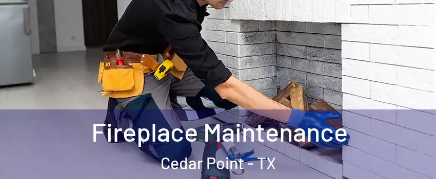 Fireplace Maintenance Cedar Point - TX