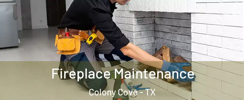 Fireplace Maintenance Colony Cove - TX