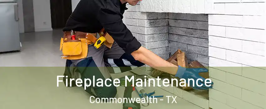 Fireplace Maintenance Commonwealth - TX