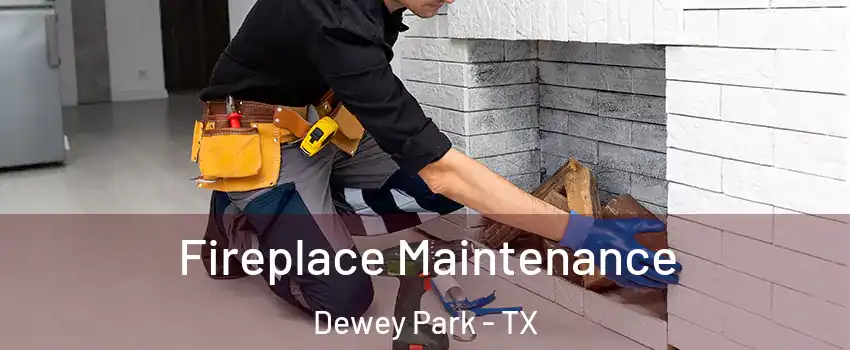 Fireplace Maintenance Dewey Park - TX