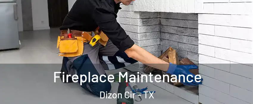 Fireplace Maintenance Dizon Cir - TX