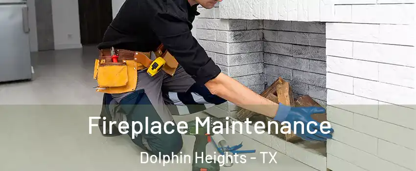 Fireplace Maintenance Dolphin Heights - TX