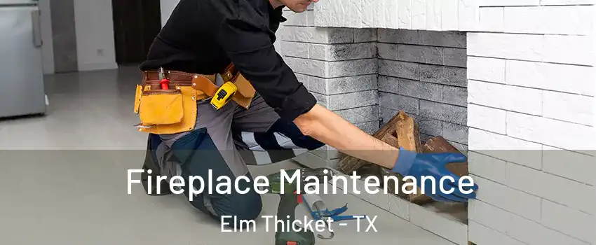 Fireplace Maintenance Elm Thicket - TX