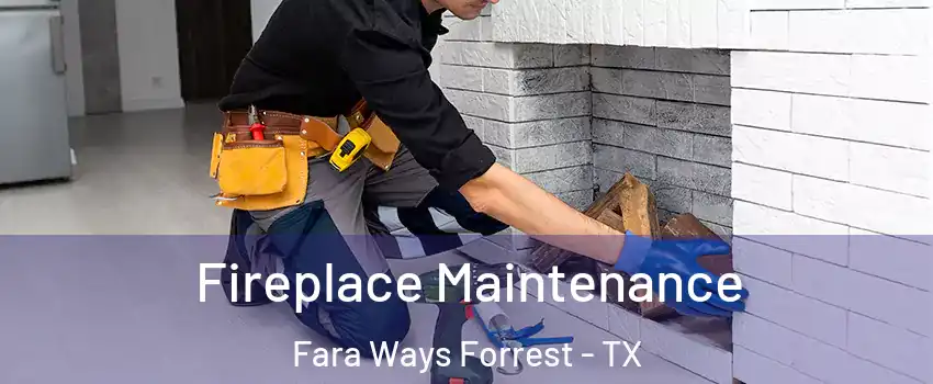 Fireplace Maintenance Fara Ways Forrest - TX