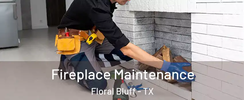 Fireplace Maintenance Floral Bluff - TX
