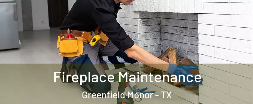 Fireplace Maintenance Greenfield Monor - TX