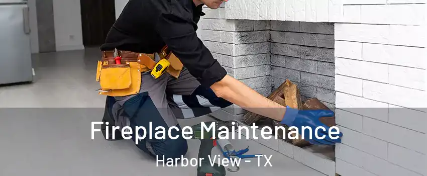 Fireplace Maintenance Harbor View - TX