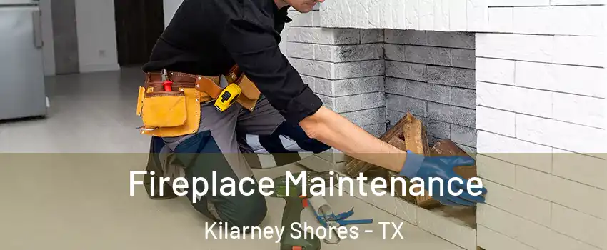 Fireplace Maintenance Kilarney Shores - TX