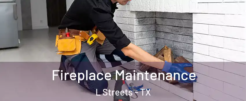 Fireplace Maintenance L Streets - TX