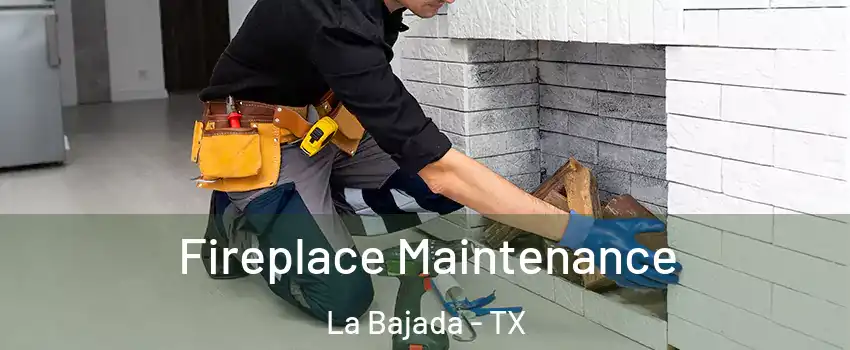 Fireplace Maintenance La Bajada - TX
