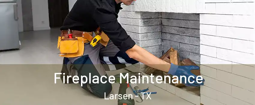 Fireplace Maintenance Larsen - TX