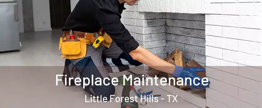 Fireplace Maintenance Little Forest Hills - TX