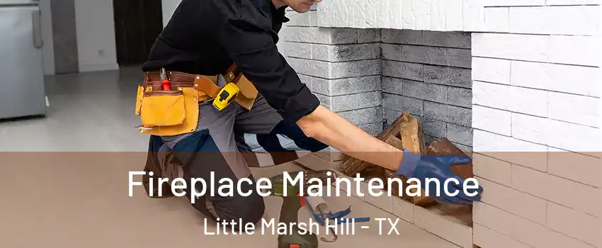 Fireplace Maintenance Little Marsh Hill - TX