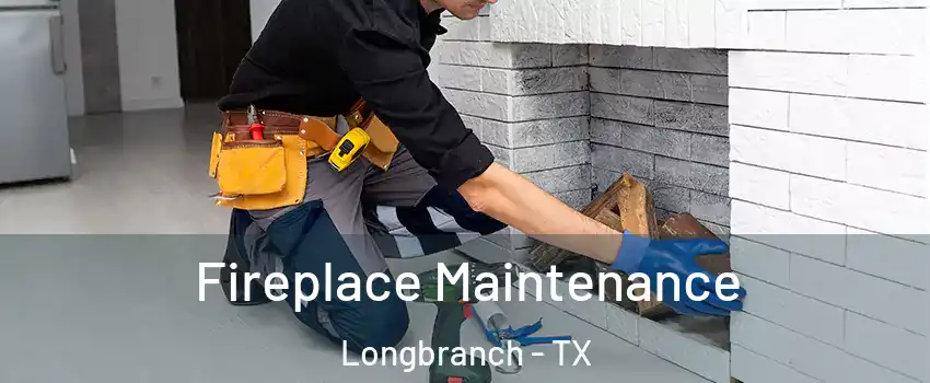 Fireplace Maintenance Longbranch - TX