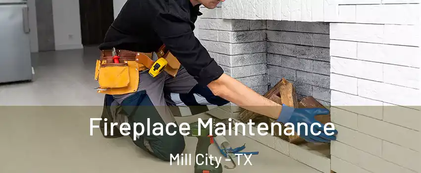Fireplace Maintenance Mill City - TX