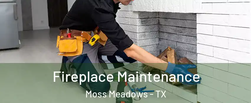 Fireplace Maintenance Moss Meadows - TX