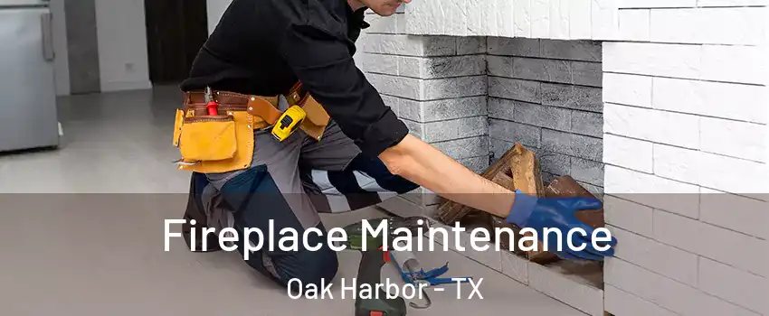 Fireplace Maintenance Oak Harbor - TX