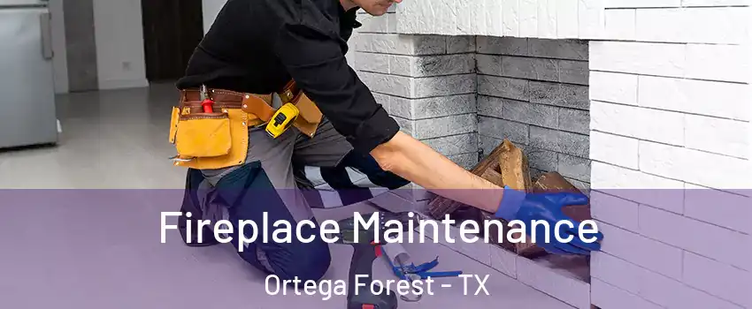 Fireplace Maintenance Ortega Forest - TX