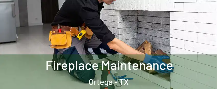 Fireplace Maintenance Ortega - TX