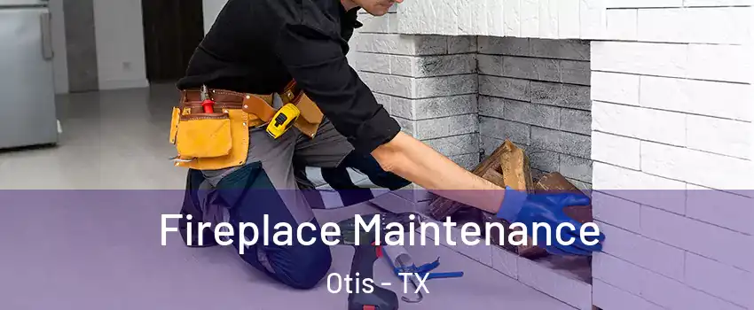 Fireplace Maintenance Otis - TX