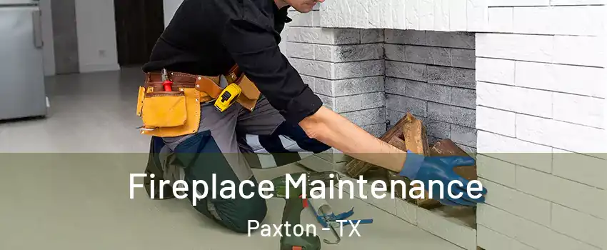 Fireplace Maintenance Paxton - TX