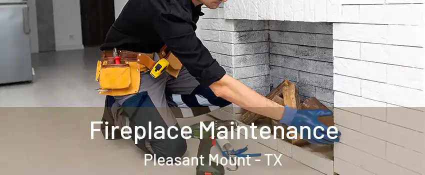 Fireplace Maintenance Pleasant Mount - TX