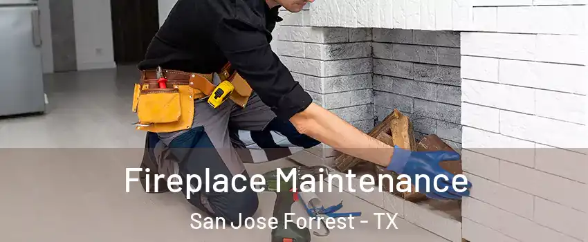 Fireplace Maintenance San Jose Forrest - TX
