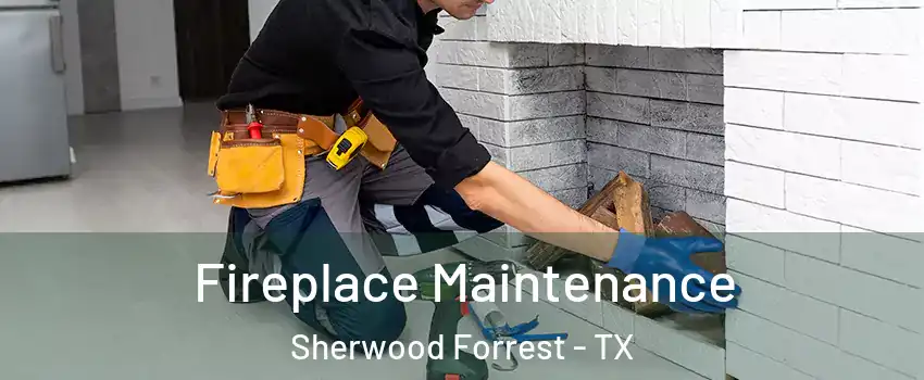 Fireplace Maintenance Sherwood Forrest - TX