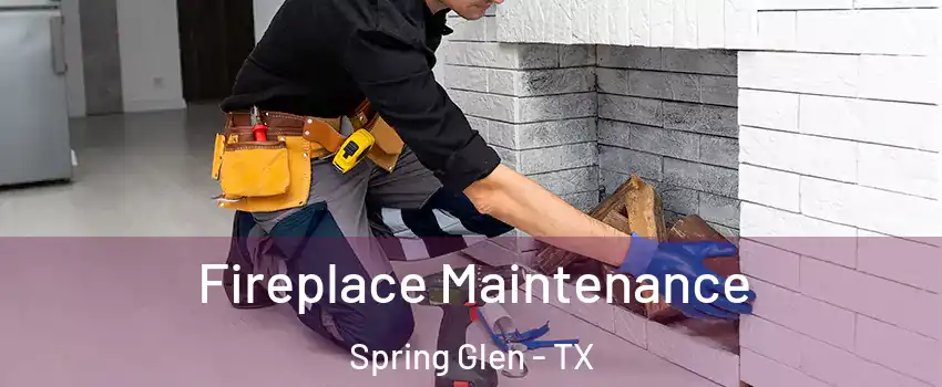 Fireplace Maintenance Spring Glen - TX