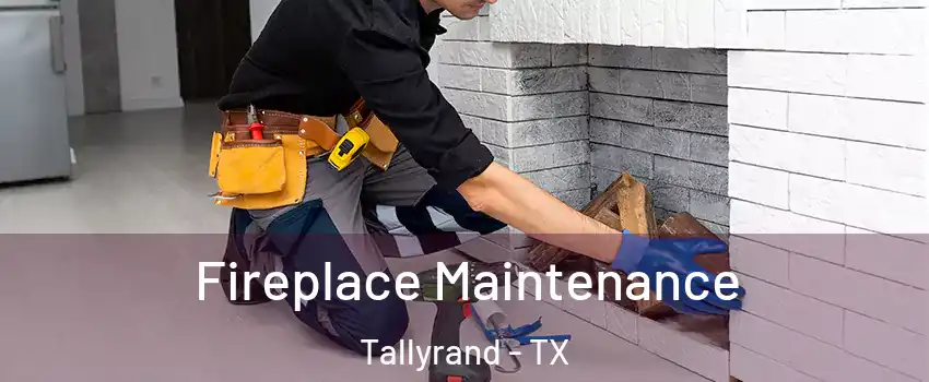 Fireplace Maintenance Tallyrand - TX