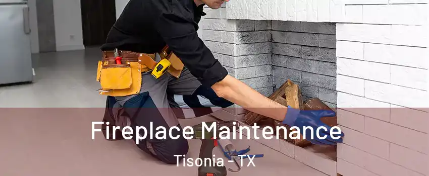 Fireplace Maintenance Tisonia - TX