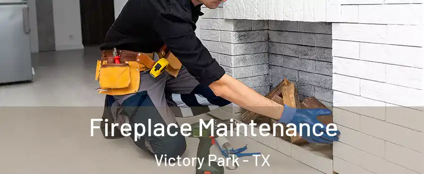 Fireplace Maintenance Victory Park - TX