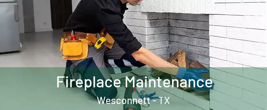 Fireplace Maintenance Wesconnett - TX