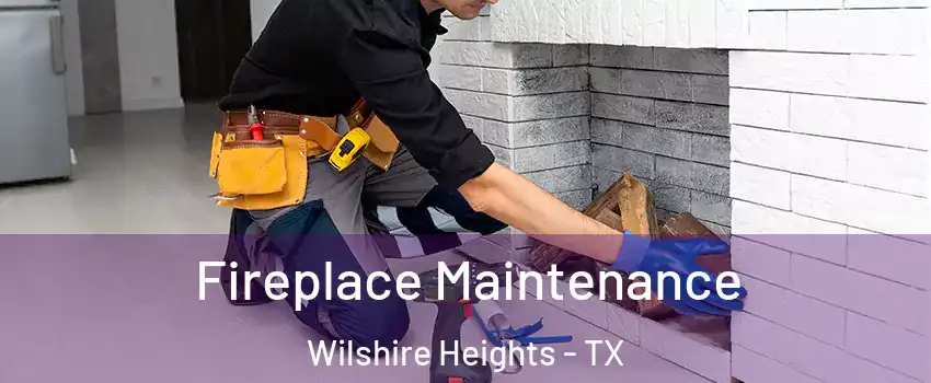 Fireplace Maintenance Wilshire Heights - TX