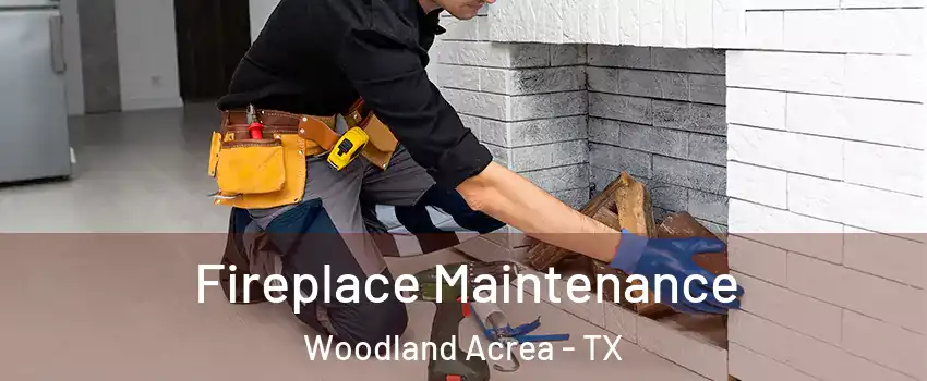 Fireplace Maintenance Woodland Acrea - TX