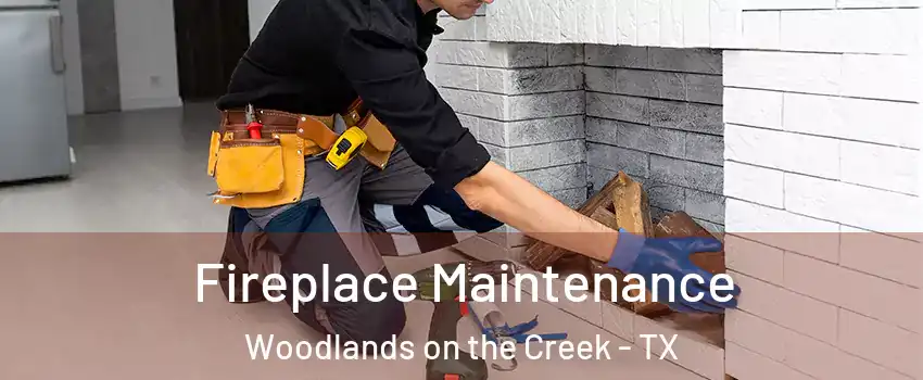 Fireplace Maintenance Woodlands on the Creek - TX