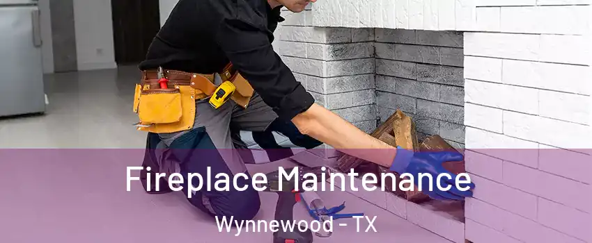 Fireplace Maintenance Wynnewood - TX