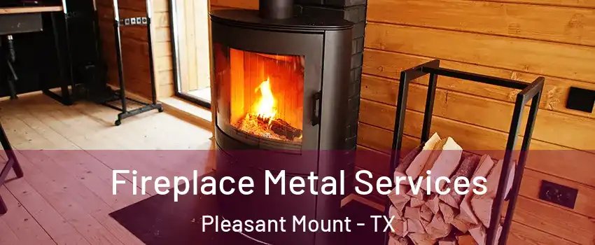 Fireplace Metal Services Pleasant Mount - TX