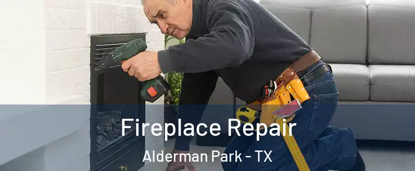 Fireplace Repair Alderman Park - TX
